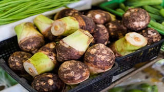 తేనె మంచిదని మరీ ఎక్కువగా తినేస్తున్నారా..? అయితే, ఈ విషయాలు తప్పక తెలుసుకోండి..