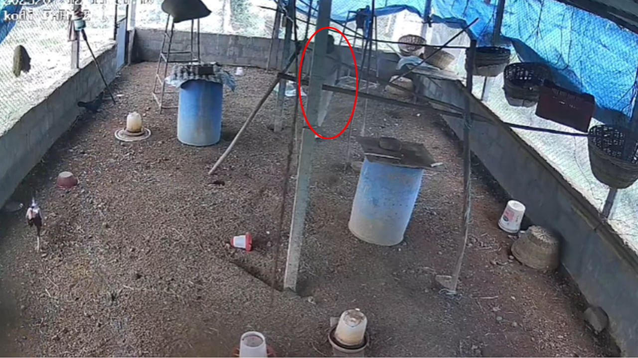 Telangana: చెడ్డీ గ్యాంగ్ కాదు.. వీళ్లు అంతకుమించి.! ఏం దొంగతనం చేశారో తెలిస్తే స్టన్