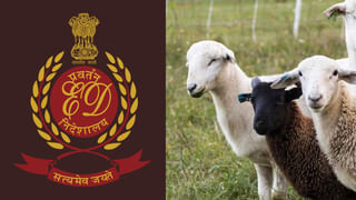 Telangana: ఎవర్రా మీరంతా..! గణపయ్యతోనే గేమ్సా.. వీడియో చూస్తే కళ్లు తేలేస్తారు..