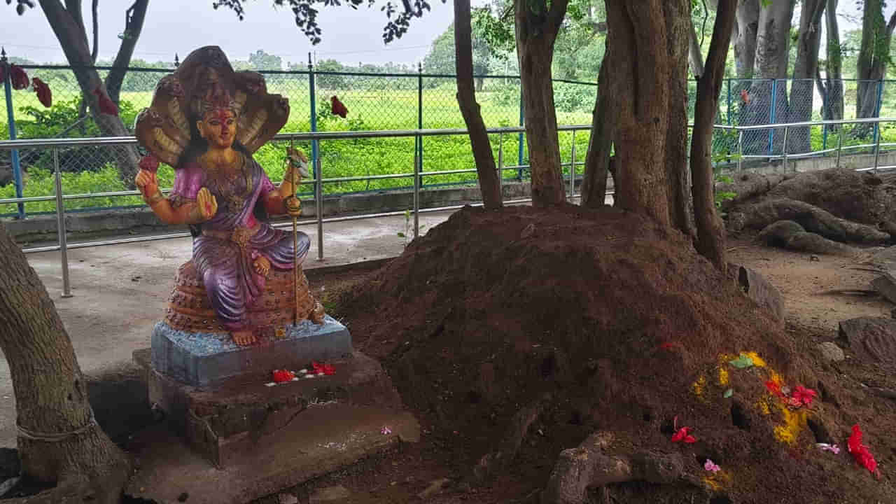 Telangana: ఆ ఊరంతా నాగాలే.. గ్రామం పేరే నాగుల పేట.. చరిత్ర తెలిస్తే స్టన్..