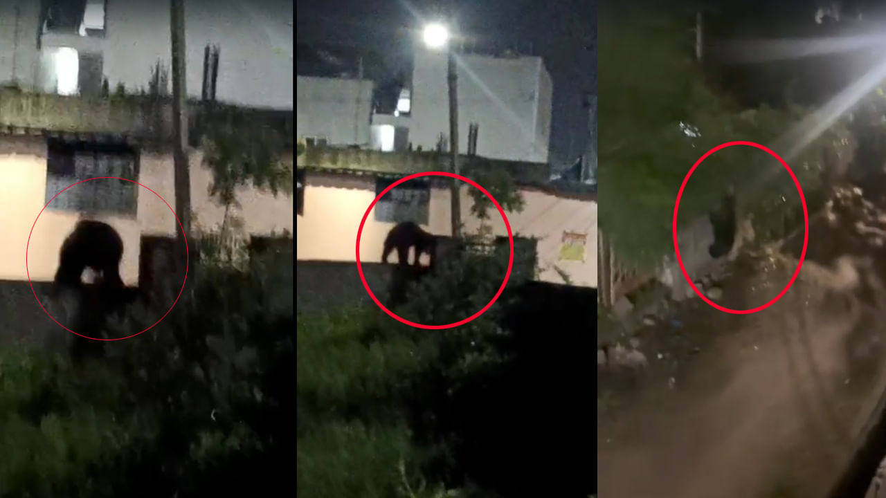 చీకట్లో దర్శనమిస్తున్న వింత ఆకారాలు.. రాత్రి 8 దాటితే గజగజ వణికిపోతున్న జనాలు!