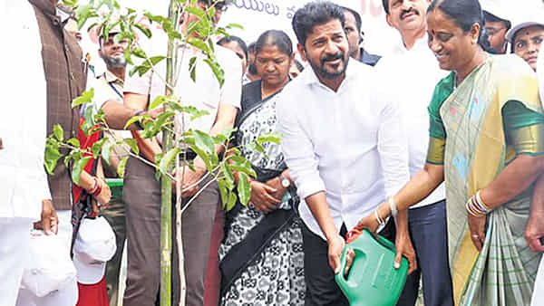 Van Mahotsav: తెలంగాణలో నేటి నుంచి వన మహోత్సవం... ఈ ఏడాది 18.02 కోట్ల మొక్కలు నాటాలని లక్ష్యం