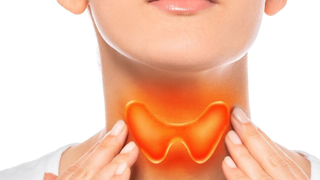 హైపర్ థైరాయిడ్ లక్షణాలు : ఆందోళన, నిద్రలేమి, అలసట, నెలసరిలో మార్పులు, కళ్లు పెద్దగా మారడం, త్వరగా బరువు తగ్గడం, వేడిని తట్టుకోలేకపోవడం, అతిసారం, వణుకు, కండరాల బలహీనత, ఎక్కువ చెమటుల పట్టడం,జుట్టు రాలడం, థైరాయిడ్ గ్రంథి వాపు, అతిగా ఆకలి, నీరసం వంటి లక్షణాలన్నీ హైపర్ థైరాయిడిజం లక్షణాలే. అయితే థైరాయిడ్ ఏది అయినా సరే జింక్, సెలీనియం వంటి విటమిన్స్ ఎక్కువగా ఉండే ఫుడ్ తీసుకోవాలి. కాగా, ఇప్పుడు మనం తీసుకోకూడని, తీసుకోవాల్సిన ఫుడ్ ఏదో చూద్దాం.