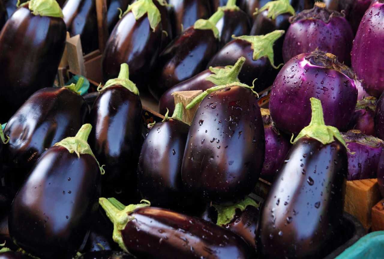 Brinjal Tips: పురుగుల్లేని, రుచికరమైన వంకాయలను ఎంపిక చేయండిలా..