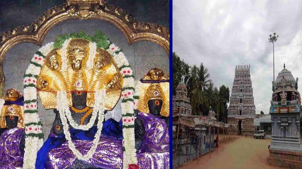 ఇలాంటి గుడి ఎక్కడా చూసుండరు.. రాహుకాలంలో రాహువుకి పాలు పోస్తే నీలంగా... కిందకు రాగానే తెల్లగా మారే పాలు..