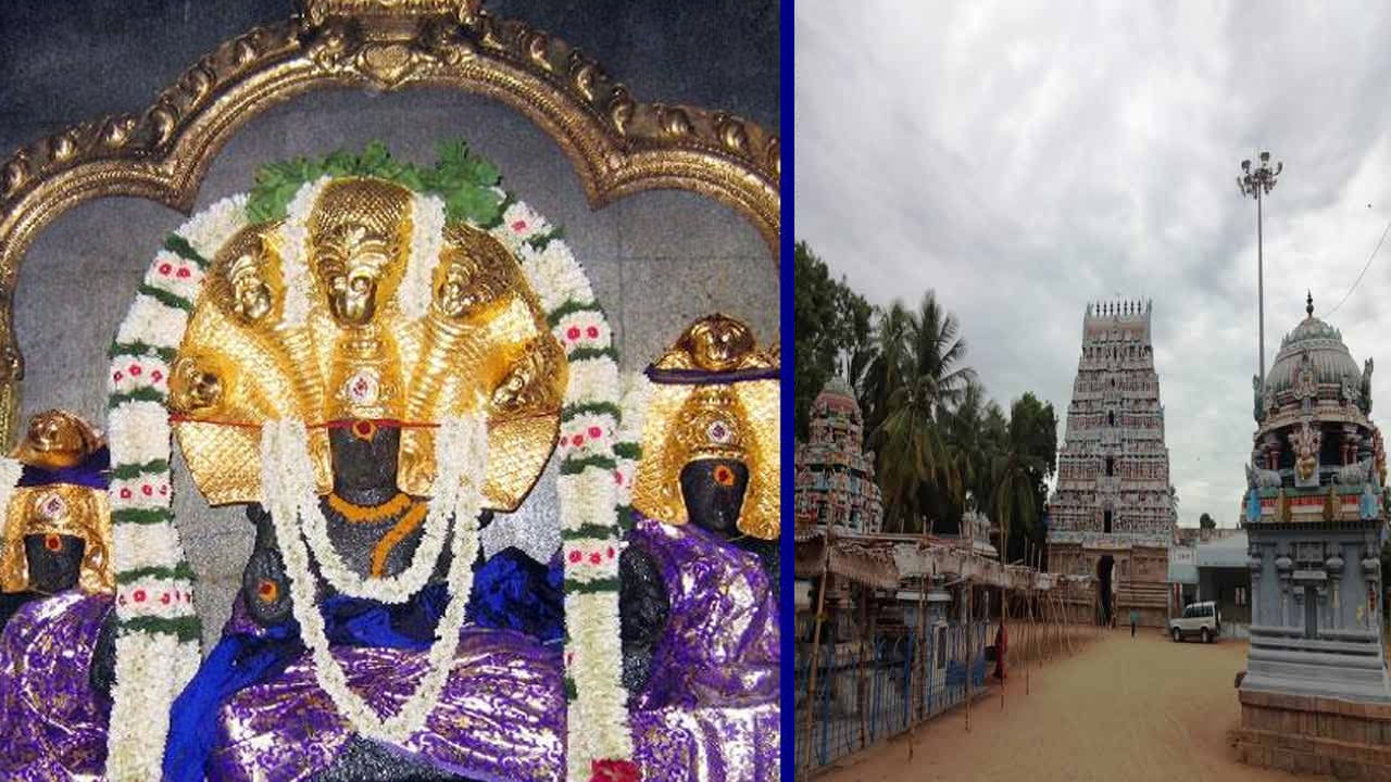 ఇలాంటి గుడి ఎక్కడా చూసుండరు.. రాహుకాలంలో రాహువుకి పాలు పోస్తే నీలంగా... కిందకు రాగానే తెల్లగా మారే పాలు..