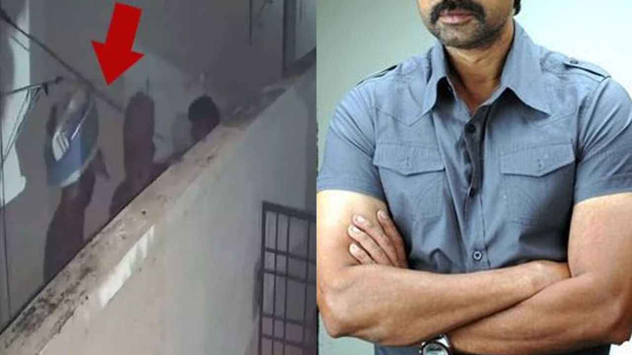 ఎంటర్టైన్మెంట్