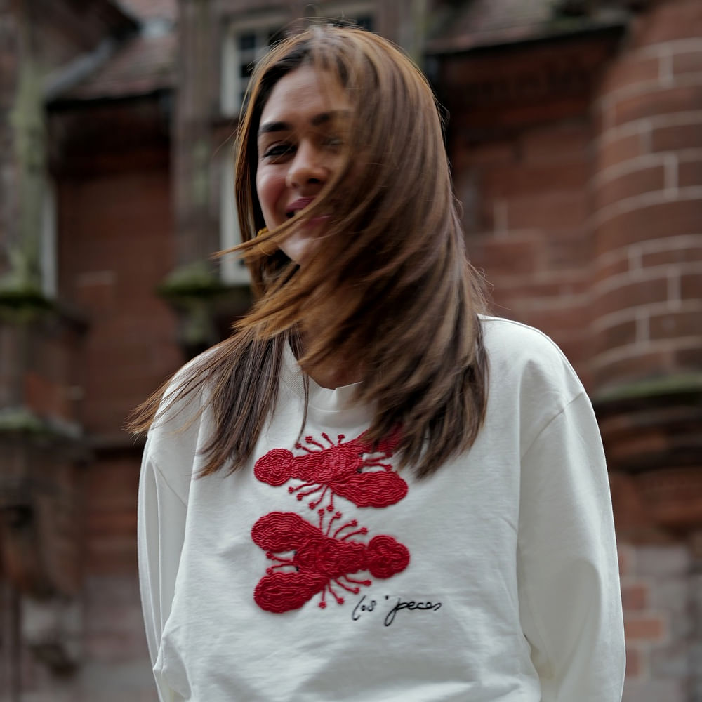 టాలీవుడ్ లో తక్కువ సమయంలో స్టార్ హీరోయిన్ గా మారిన ముద్దుగుమ్మల్లో మృణాల్ ఠాకూర్ ఒకరు. సీరియల్స్ నుంచి సినిమాల్లోకి వచ్చింది ఈ చిన్నది. బాలీవుడ్ లో సినిమాలు చేసి మెప్పించింది ఈ ముద్దుగుమ్మ. సీతారామం సినిమాతో హీరోయిన్ గా ఎంట్రీ ఇచ్చింది. తొలి సినిమాతోనే తెలుగులో భారీ విజయాన్ని అందుకుంది.