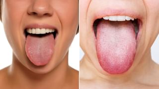 Plants: ఈ మొక్క ఇంట్లో ఉంటే ఒత్తిడి దూరం, రక్తపోటు మాయం..