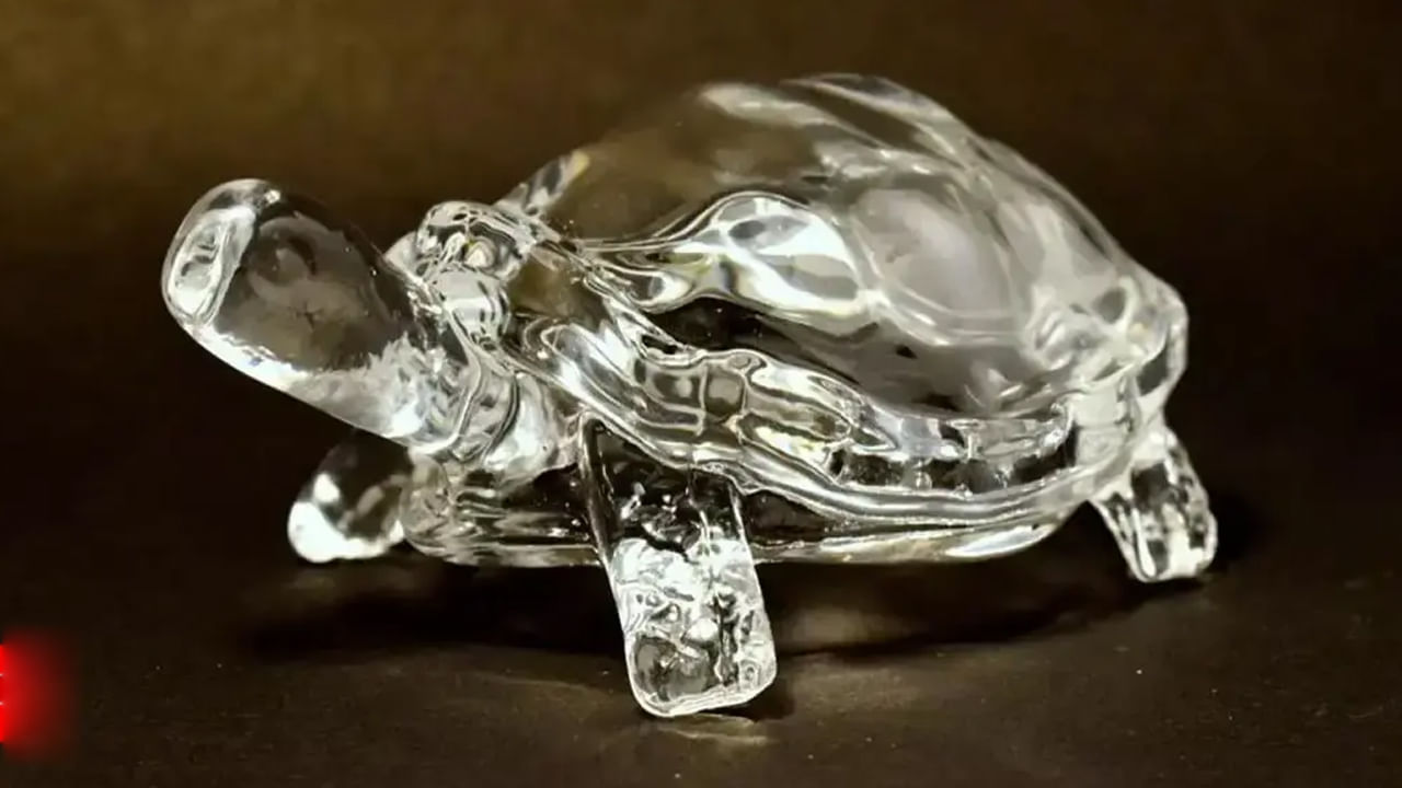 అభివృద్ధి నిలిచిపోయిన వారు నైరుతిలో ఇత్తడి తాబేలును ఉత్తరాభిముఖంగా ఉంచాలి. ఇది ఆర్థిక వృద్ధికి మంచిది. రకరకాల సైజుల్లో కొన్ని తాబేలు బొమ్మలను నైరుతిలో పెట్టుకున్నపుడు కుటుంబ సభ్యుల మధ్య బంధువుల మధ్య సామరస్యం ఉంటుంది. ఇత్తడి తాబేలును పిల్లల స్టడీ టేబుల్ మీద పడమర వైపు ఉంచితే చదువులో వారికి ఏకాగ్రత పెరుగుతుంది.