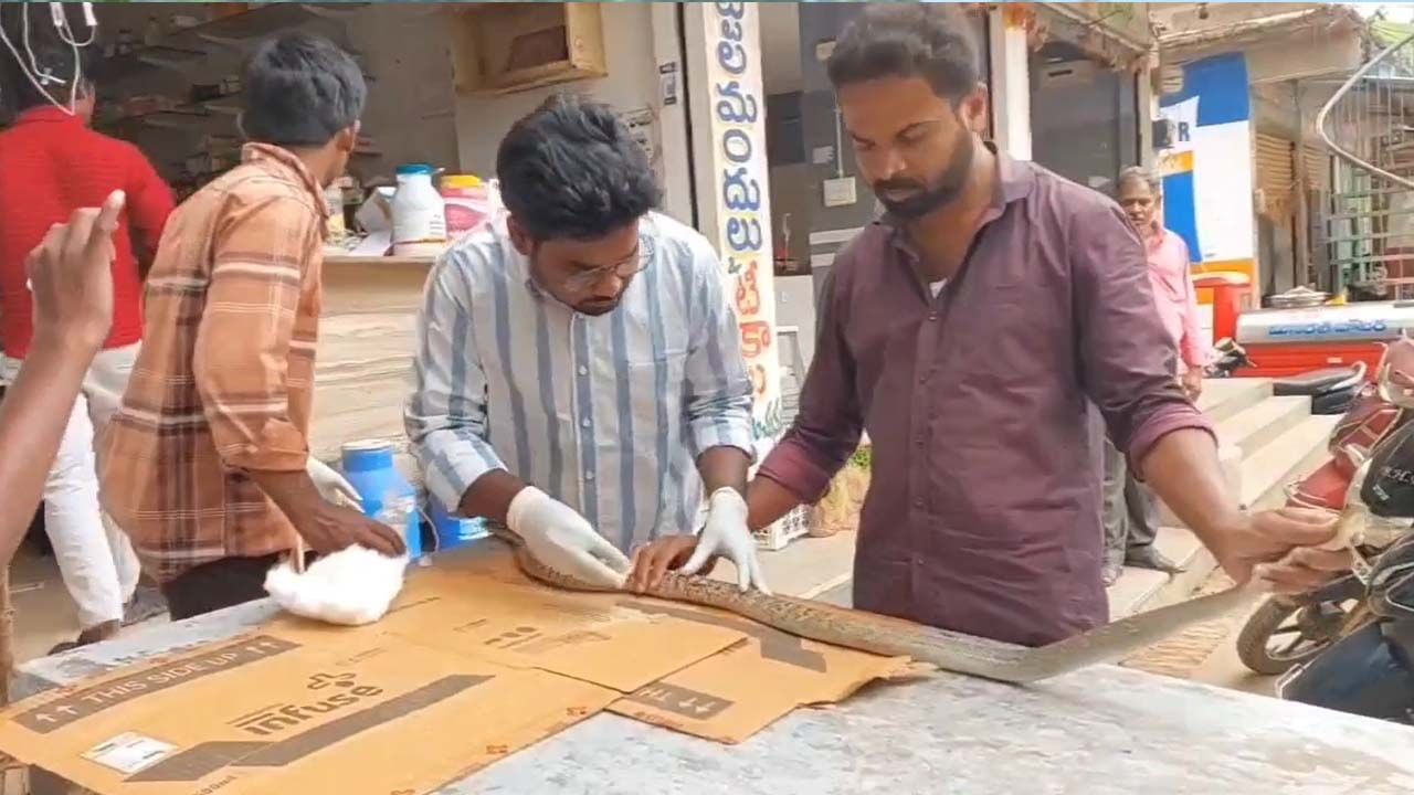 మనుషుల్లో మహానుభావుడురా వీడు.. కాటేసే పామునే కాపాడాడు.. ఎక్కడంటే?