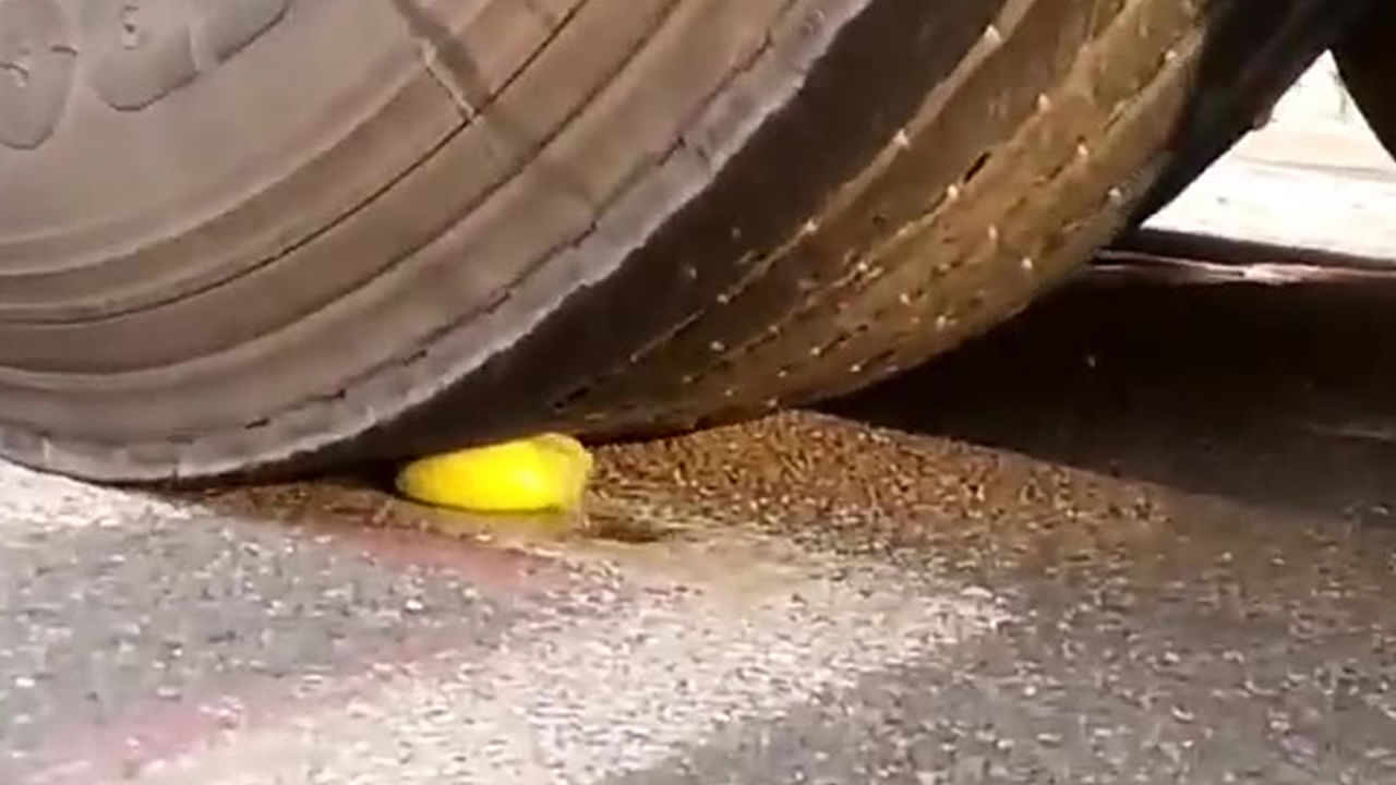 అందుకే ప్రయాణానికి ముందు వాహనం టైర్ల కింద నిమ్మకాయ పెట్టె తొక్కించాలను మన పెద్దలు చెబుతుంటారు. అయితే దీని శాస్త్రం మరో కారణం చెబుతుంది. దీనివల్ల ఆరోగ్య ప్రయోజనాలు ఉన్నాయని సంప్రదాయాన్ని సమర్దిస్తుంది సైన్స్. నిమ్మకాయలను మూఢ నమ్మకం కాదని తేల్చి చెప్పేసింది. ఏళ్లుగా చేసిన పరిశోధనలో ఈ విషయం తేలింది. 