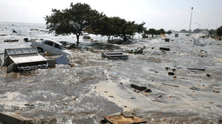 Tsunami Effect Video: పసిపిక్‌ తీరంలో విరుచుకుపడ్డ సునామీ… ఒడ్డుకు కొట్టుకొచ్చిన తిమింగళాలు.. వీడియోలు వైరల్‌