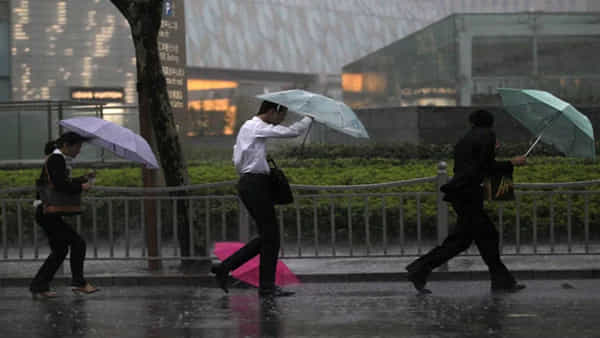 Umbrella Tips: వర్షంలో గొడుగు ఎగిరిపోకూడదంటే.. 5 ముఖ్యమైన టిప్స్ ఇవి..