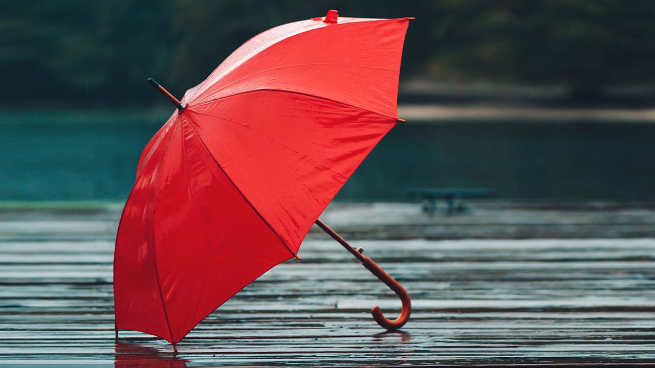 Umbrella