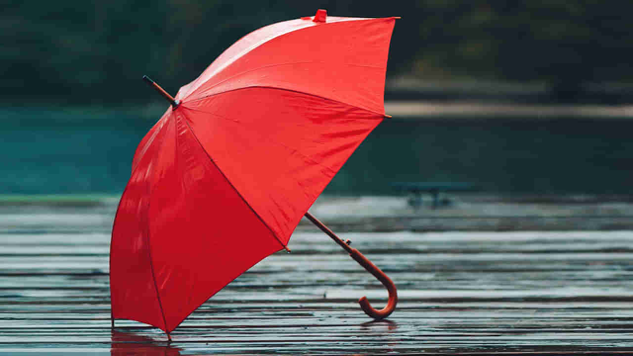 గొడుగుతో జర భద్రం.. ఎప్పటికప్పుడు ఇలా చేస్తేనే ఆరోగ్యం.. లేదంటే రోగాలకు నిలయం