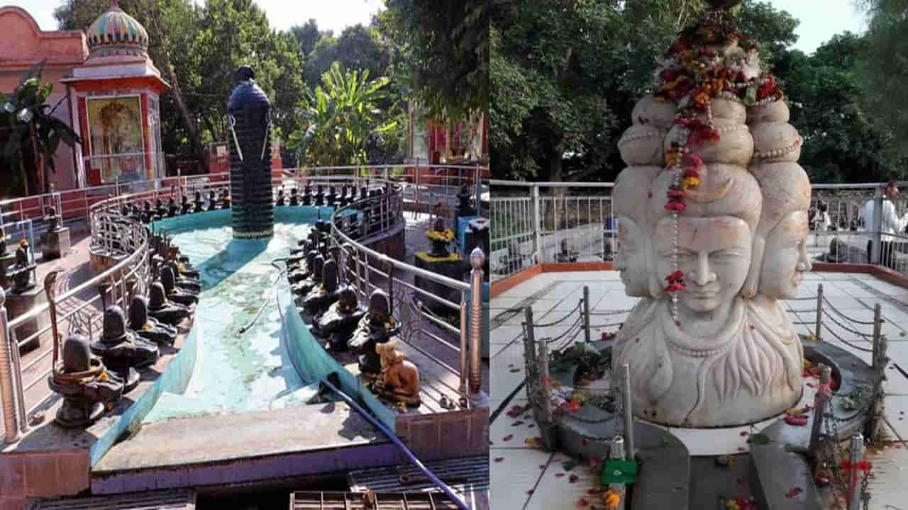 Unique Shiva Temple: ఈ శివాలయం వెరీ వెరీ స్పెషల్.. ఒకే చోట స్వస్తిక రూపంలో 525 శివలింగాలు.. ఎక్కడంటే