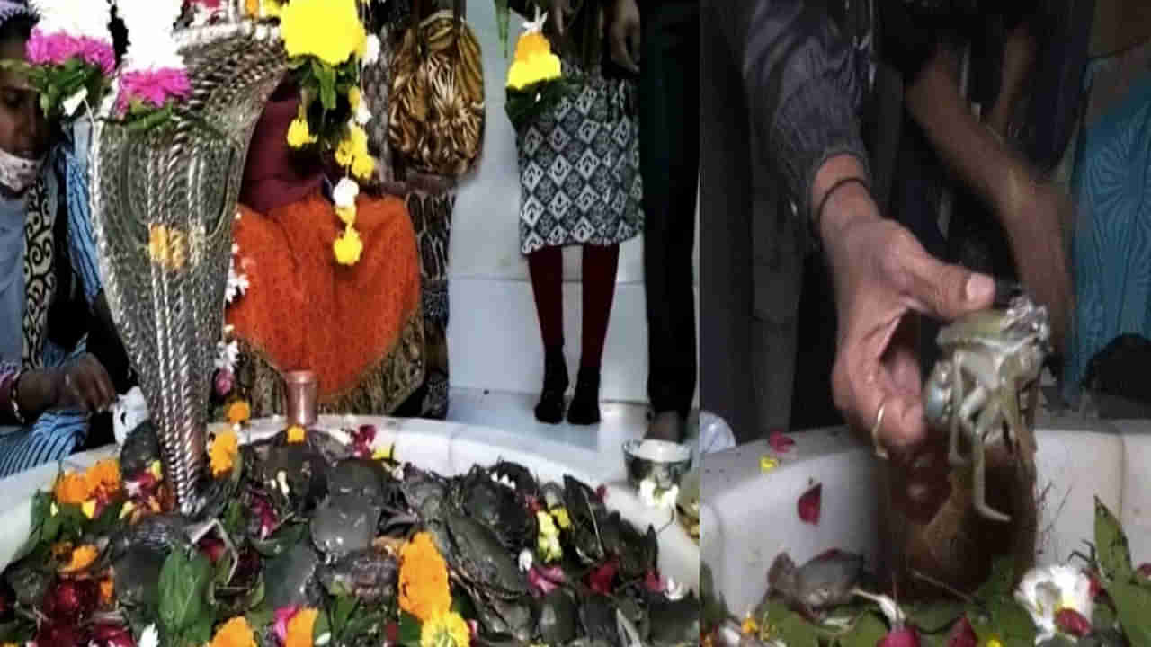 Unique Tradition: పీతలు సమర్పిస్తే చెవి నొప్పి నయం చేసే శివయ్య.. రాముడు నిర్మించిన ఆలయం.. ఎక్కడ ఉందంటే..