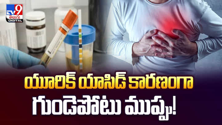 Heart Attack: ఆకస్మిక గుండెపోట్లకు అధిక శాతం కారణం అదేనట Heart Attack: ఆకస్మిక గుండెపోట్లకు అధిక శాతం కారణం అదేనట