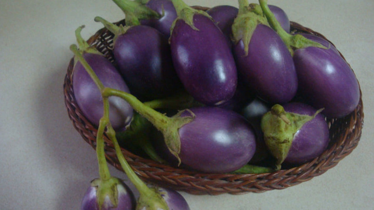  ఈ రంగు వంకాయలో యాంటీఆక్సిడెంట్లు సమృద్ధిగా ఉంటాయి. అందువలన ఇవి శరీరంలోని ఫ్రీ రాడికల్స్, క్యాన్సర్, గుండె సమస్యలతో పాటు అనేక రకాల వ్యాధుల నుంచి కాపాడుతుందంట.యాంటీఆక్సిడెంట్లు , ఆంథోసైనిన్లు ఈ రాడికల్స్‌ను తొలగించడంలో సహాయపడతాయంట. అందుకే ప్రతి ఒక్కరూ తమ ఆహారంలో ఈ వంకాయను చేర్చుకోవాలంట.