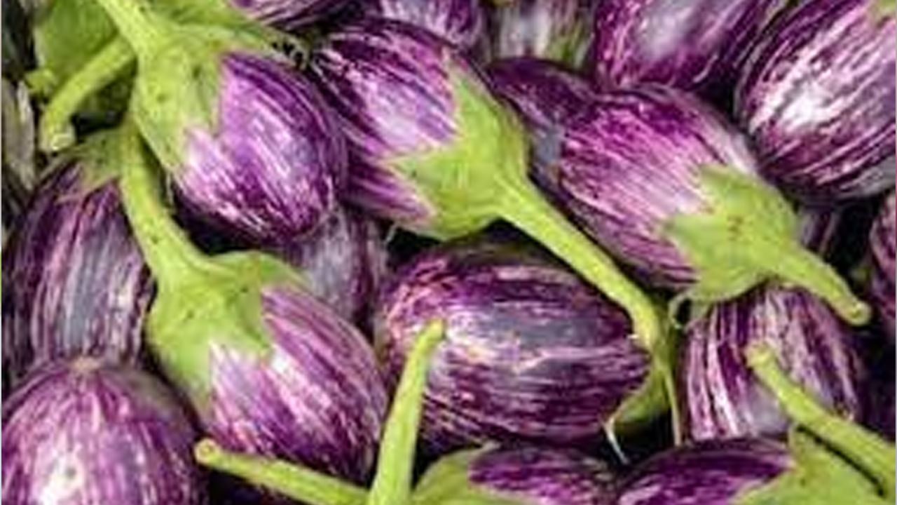 ఇక ఎవరు అయితే బరువు తగ్గాలి అనుకుంటున్నారో వారు కూడా వంకాయను తినడం ఉత్తమం, ఇది బరువు తగ్గడంలో సహాయపడుతుంది.మీరు బరువు తగ్గాలని లక్ష్యంగా పెట్టుకుని , మీ ఆహారంలో చేర్చుకోవాల్సిన ఆహార పదార్థాల కోసం చూస్తున్నట్లయితే, వంకాయ చాలా బెస్ట్ అంట. ఇది తక్కువ కేలరీలు, అధిక ఫైబర్ కలిగి ఉండటం వలన బరువును నియంత్రణలో ఉంచుతుంది.