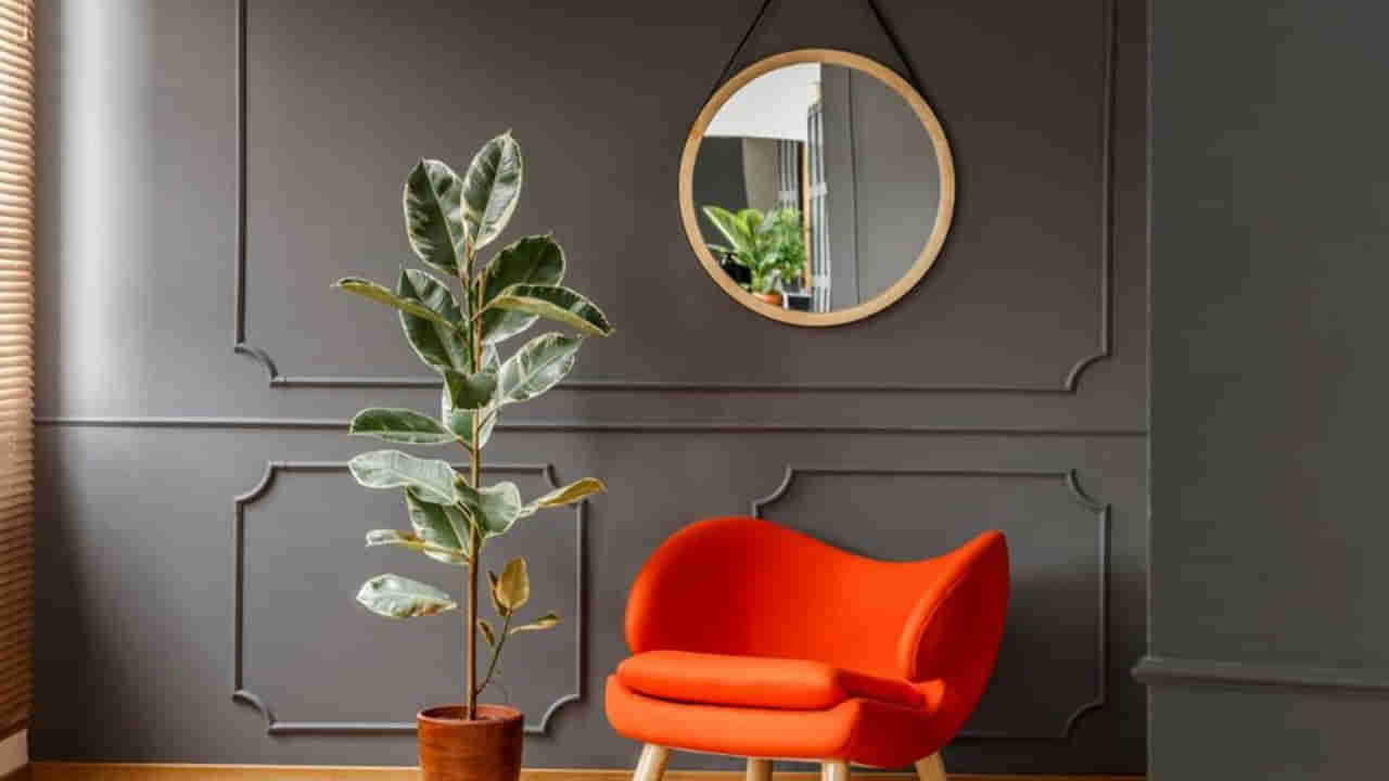 Vastu Tips: ఇంట్లో వాస్తు దోషమా..! అద్దంతో తొలగించవచ్చని తెలుసా..! ఎలా ఏర్పాటు చేసుకోవాలంటే