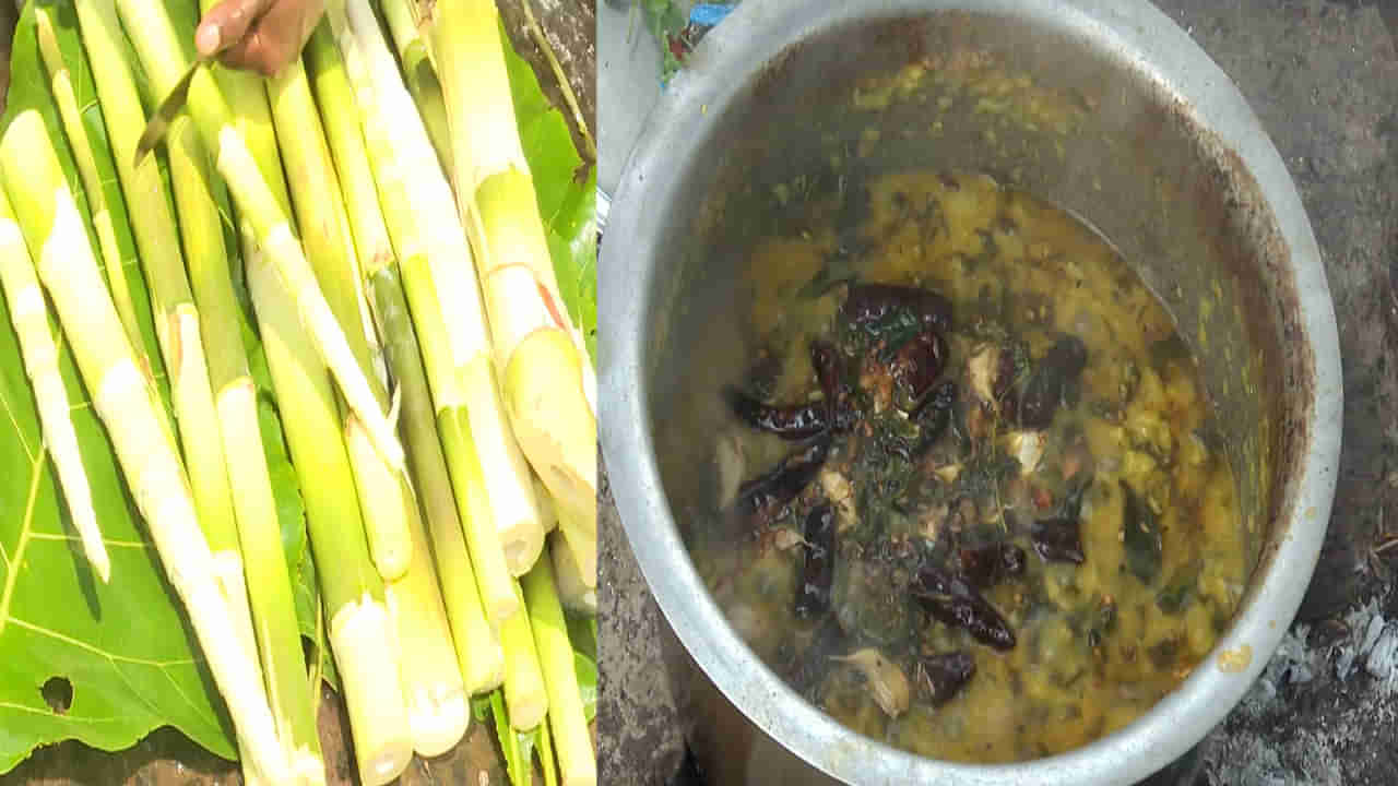 మన్యం వాసుల స్పెషల్.. వెదురుకొమ్ముల కూర.. ఒక్కసారి తింటే ఆహా ఏమి రుచి అనాల్సిందే..