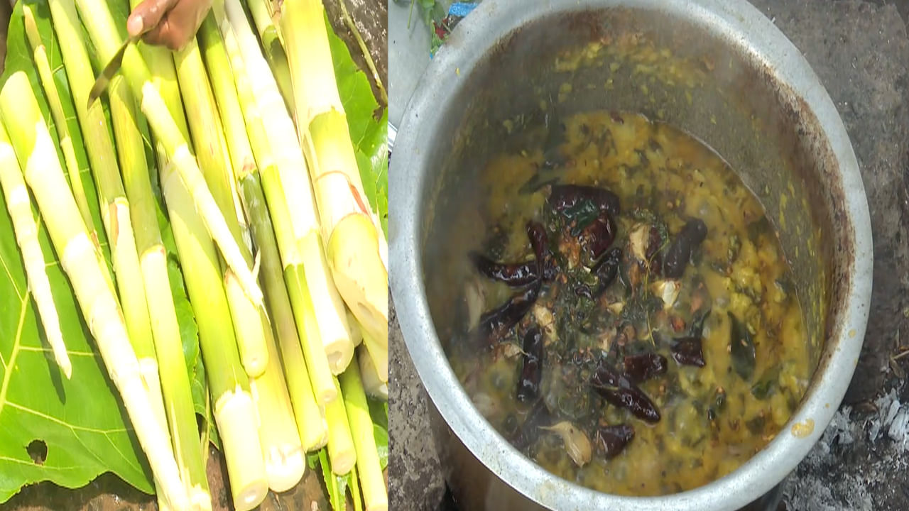 మన్యం వాసుల స్పెషల్.. వెదురుకొమ్ముల కూర.. ఒక్కసారి తింటే ఆహా ఏమి రుచి అనాల్సిందే..