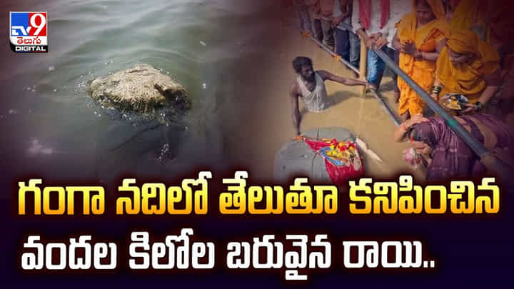 గంగా నదిలో తేలుతూ కనిపించిన వందల కిలోల బరువైన రాయి.. వీడియో గంగా నదిలో తేలుతూ కనిపించిన వందల కిలోల బరువైన రాయి.. వీడియో
