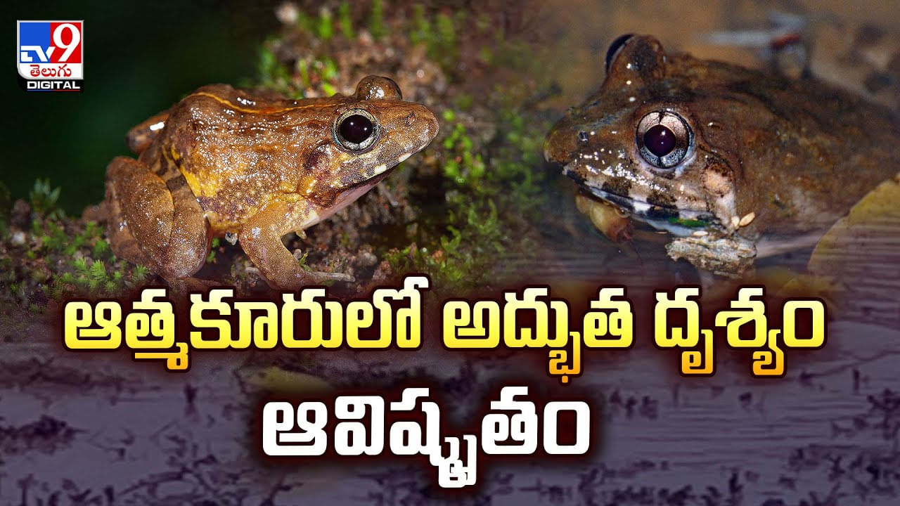 తాజా వార్తలు