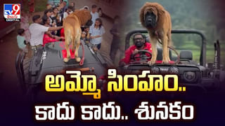 ఇంటికి వెళ్లి ఏడాదిన్నర అవుతుంది.. రష్మిక ఎమోషనల్ వీడియో