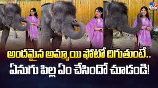 వార్నీ.. వాడిన పాత బ్యాగ్ ధర రూ.85 కోట్లా!