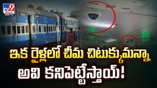 అందమైన అమ్మాయి ఫోటో దిగుతుంటే.. ఏనుగు పిల్ల ఏం చేసిందో చూడండి!