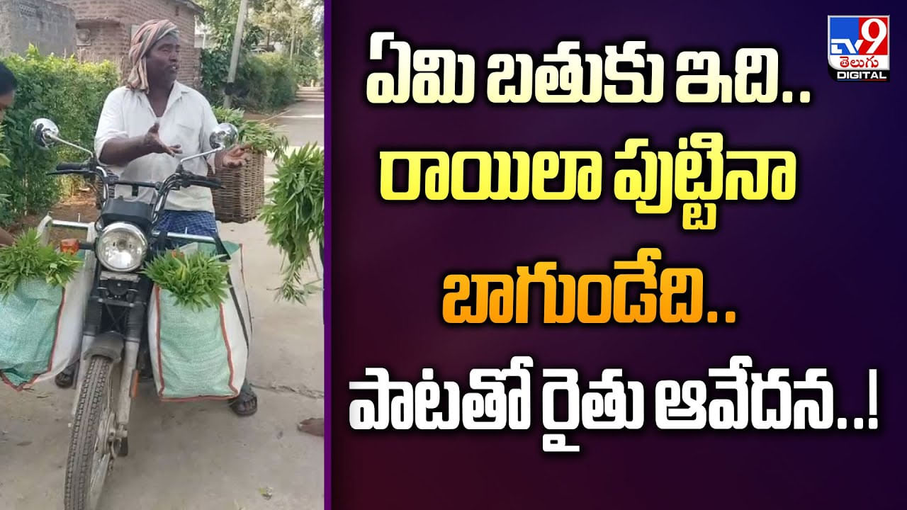 ఏమి మారిందంటూ..పాటతో రైతు కష్టాలు చెప్పిన కూరగాయలమ్మే వ్యక్తి వీడియో
