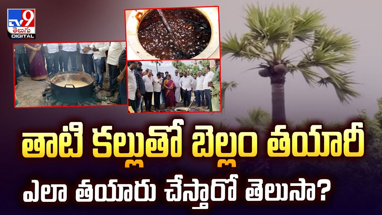 తాజా వార్తలు