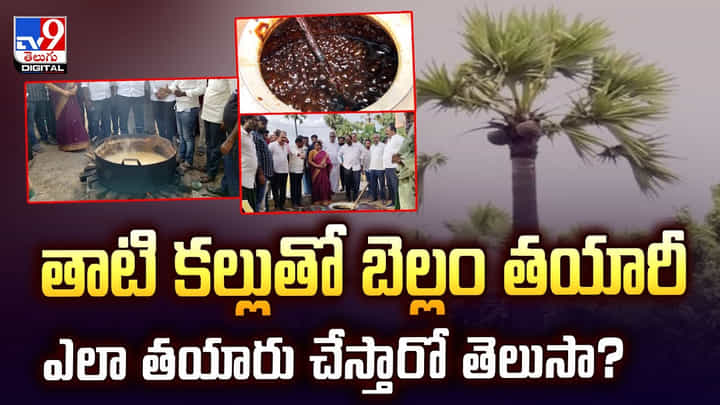 తాటి కల్లుతో బెల్లం తయారీ..ఎలా తయారు చేస్తారో తెలుసా? తాటి కల్లుతో బెల్లం తయారీ..ఎలా తయారు చేస్తారో తెలుసా?