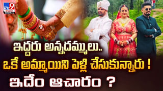 ప్రమాదాన్ని సెకన్ల ముందే గ్రహించాయి.. మహిళను కాపాడిన పిల్లులు వీడియో