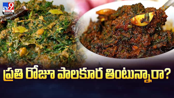 ప్రతి రోజూ పాలకూర తింటున్నారా? వీడియో ప్రతి రోజూ పాలకూర తింటున్నారా? వీడియో