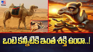 విమానం నుంచి దూకేసిన ప్రయాణికులు.. ఎందుకో తెలిస్తే ఆశ్చర్యపోవాల్సిందే!