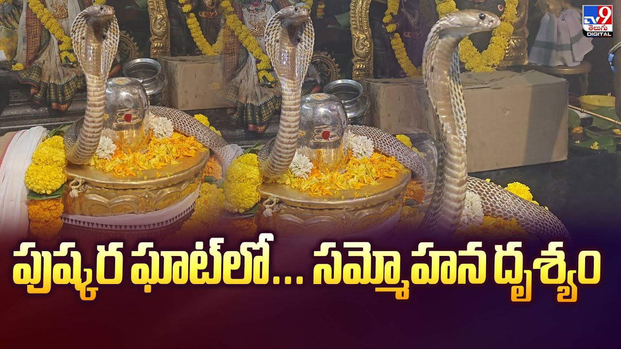 శివాలయంలో అద్భుతం.. శివలింగంపై నాగుపాము వీడియో