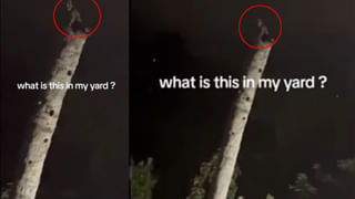 Shubhanshu Shukla: ‘కుపోలా’ నుంచి వీక్షణం..  అద్భుతం.. ఆ దృశ్యం అనిర్వచనీయం