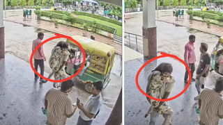 Viral Video: ప్రాణం కోసం పాము పడగ మీద కూర్చున్న ఎలుక.. ఆహారాన్ని అందుకోవాలని పాము పాట్లు.. వీడియో వైరల్