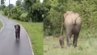 Kavitha vs Mallanna: మల్లన్న చెబితేనే కాల్పులు జరిపాం… ఇద్దరి గన్‌మన్‌ల స్టేట్‌మెంట్ రికార్డు చేసిన పోలీస్‌ శాఖ