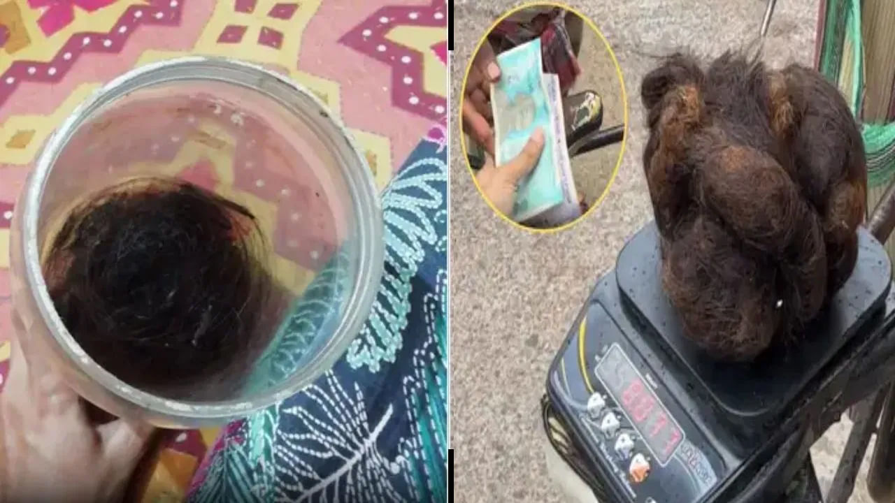 Viral Video: ఊడిపోయిన జుట్టుని పోగుచేసి డబ్బులు సంపాదిస్తున్న యువతి.. రెండేళ్లుగా సేకరిస్తున్నట్లు ప్రకటన..