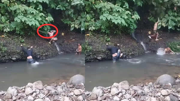 Viral Video: ఈత కొడుతూ ఎంజాయ్ చేస్తున్న యువకులు.. ఒక్కసారిగా దూసుకొచ్చిన ఊహించని అతిథి