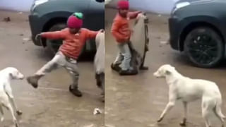 Viral Video: పాపం.. నడిరోడ్డు మీద గుండెలు పిండేసే ఘటన… వాడు నరకంలో కుళ్లిపోవాలి అంటూ నెటిజన్స్‌ ఫైర్‌