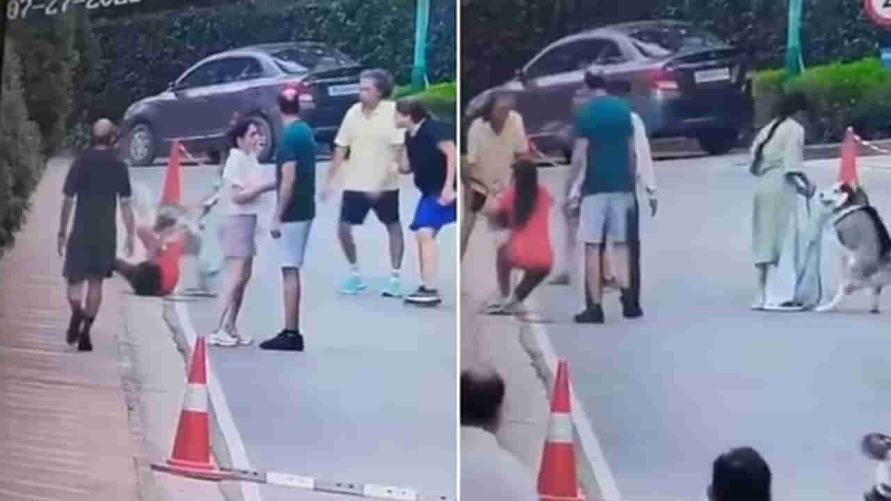 Watch Video: మార్నింగ్ వాక్కు వెళ్లిన మహిళ.. ఒక్కసారిగా దూసుకొచ్చిన హస్కి.. అడ్డుకోవడానికి అవస్థలు పడిన యజమాని!