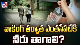 గంటకు 320 కిలోమీటర్ల వేగం.. భారత్‌లో దూసుకెళ్లనున్న బుల్లెట్ రైలు