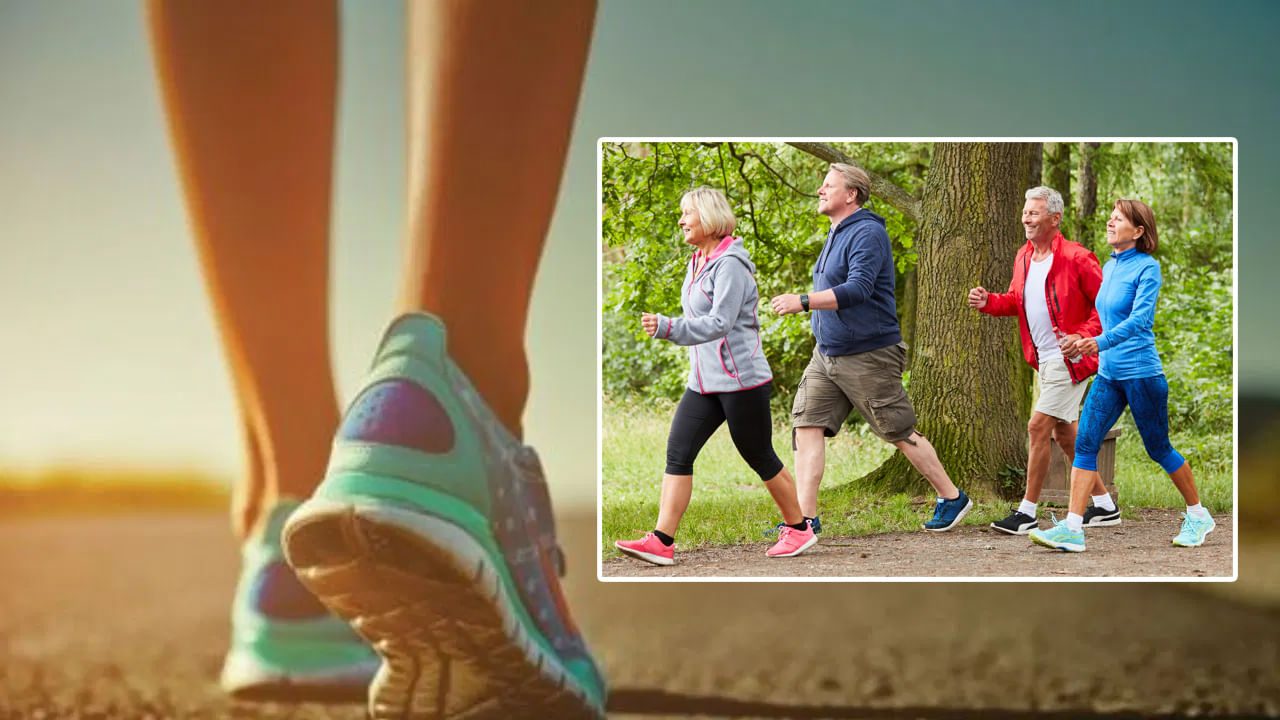 మీ ఫిట్నెస్, ఆరోగ్యాన్ని మెరుగుపరచుకోవడానికి నడక ఉత్తమ మార్గాలలో ఒకటి. నిపుణుల అభిప్రాయం ప్రకారం, ఇది గుండె సమస్యలు, మధుమేహం వంటి దీర్ఘకాలిక వ్యాధుల ప్రమాదాన్ని తగ్గించడంతో పాటు, అభిజ్ఞా నష్టాన్ని తగ్గిస్తుంది. మీ ఆరోగ్యం, ఫిట్నెస్ లక్ష్యాలను బట్టి, ఉదయం లేదా సాయంత్రం నడవడం వల్ల చాలా ప్రయోజనాలు ఉన్నాయి.