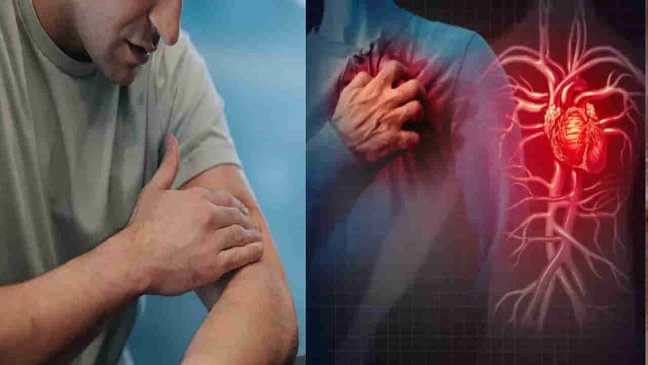 Heart Attack Signs: గుండెపోటు వచ్చే ముందు చర్మంపై కనిపించే లక్షణాలివే.. గోరంత నిర్లక్ష్యానికి కొండంత మూల్యం!